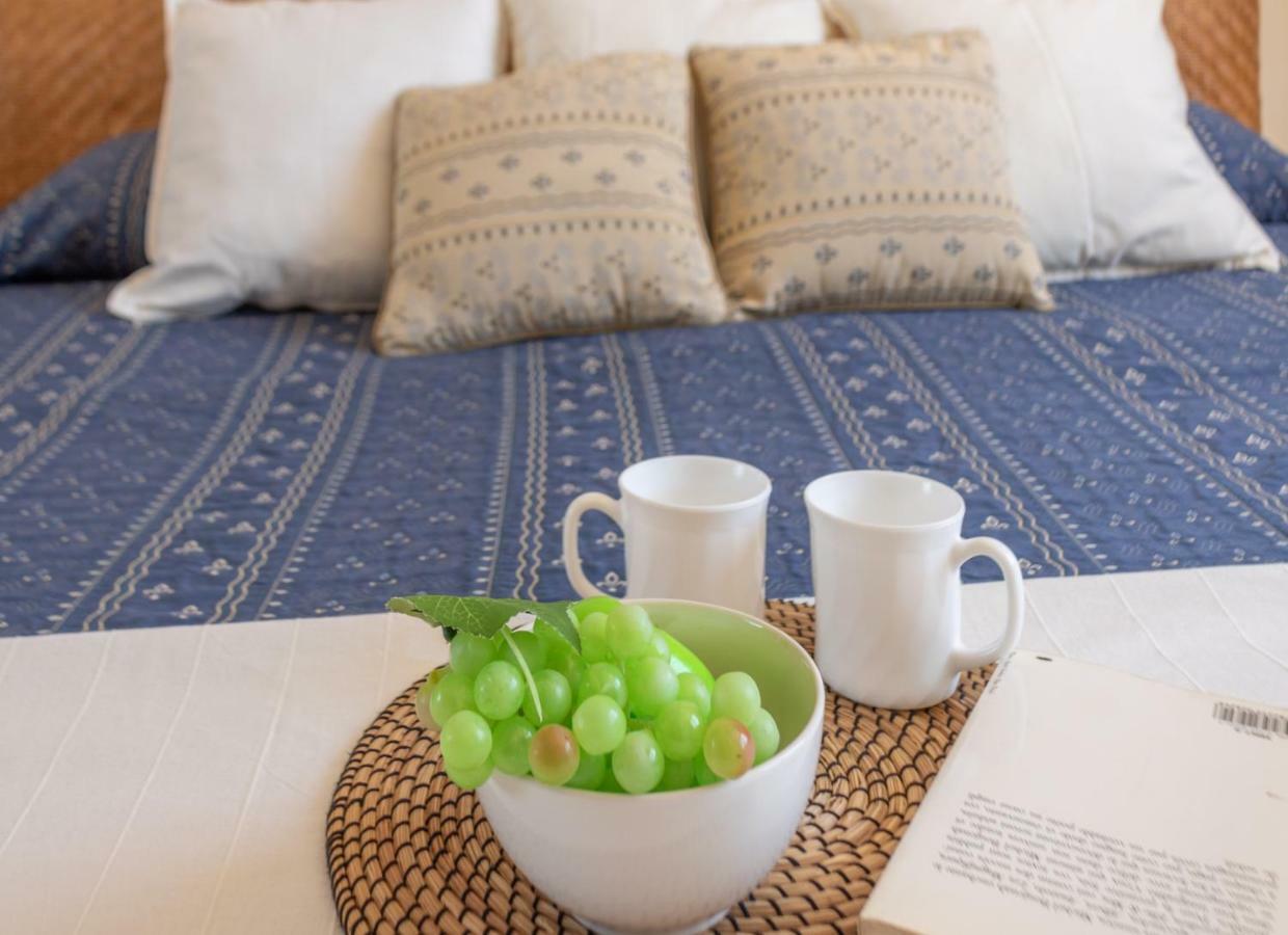Apartaments Bt Vent De Garbi 艾姆布里亚布拉瓦 外观 照片